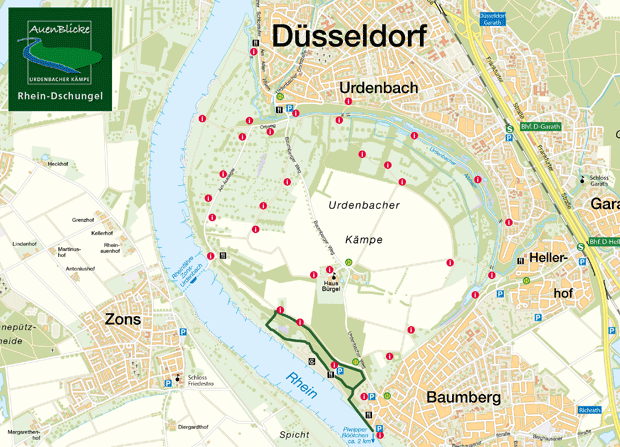 Auenblicke - Rhein-Dschungel